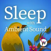 Podcast Sleep with Ambient Sound