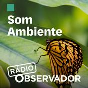 Podcast Som Ambiente