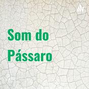 Podcast Som do Pássaro