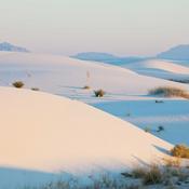 Podcast Suddenly Single On Long Island