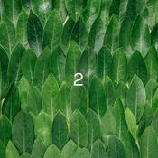 Podcast סיפורים לפני השינה לילדות מורדות 2