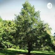 Podcast Technological Censorship