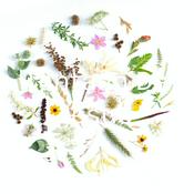 Podcast Tentação De Jesus