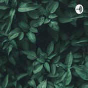 Podcast Teste Economia