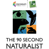 Podcast The 90 Second Naturalist