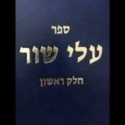 Podcast The Alei Shur Podcast with Dovid Y. Kornreich