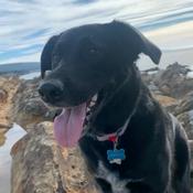 Podcast The Best Most Epic Muisc Poadcast Ever!!!!!!!