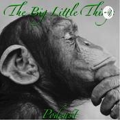 Podcast The Big Little Things