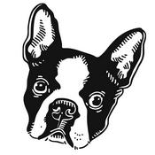 Podcast The Boston Terrier Society