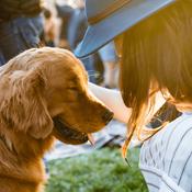 Podcast The Dog And His Master