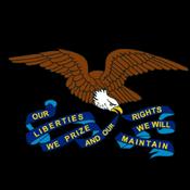 Podcast The Flyover Libertarian Podcast