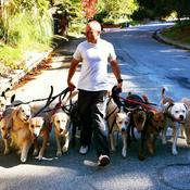 Podcast The Good Dog's Q&A Saturday!