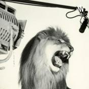 Podcast The Lion's Den Podcast
