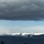 Podcast THE BRIEF by Maya Plentz