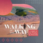 Podcast The Well (Women's Ministry) / Chapel Hill Bible Church