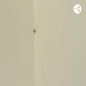 Podcast There’s a spider on the wall