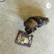 Podcast Thoughts of a quarantined kid