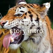 Podcast Tiger Escape story intro
