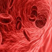 Podcast TSF - Vozes da Hemofilia - Podcast