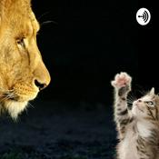 Podcast Una Visita Inesperada Al Zoológico