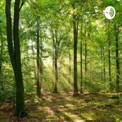 Podcast Vamos passear na floresta?
