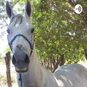 Podcast Vitor Gabriel