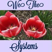 Podcast We The Systems