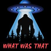 Podcast What Was That