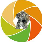 Podcast What Zup Chelan