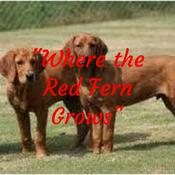 Podcast "Where the Red Fern Grows"