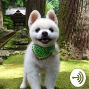Podcast yaya