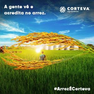 Acredite no Arroz