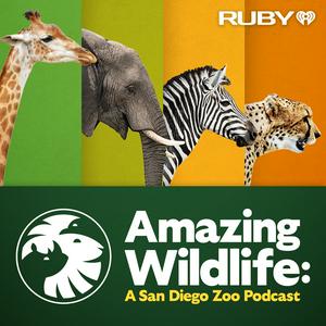 Ouça Amazing Wildlife: A San Diego Zoo Podcast na aplicação