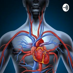 Anatomia Por Partes