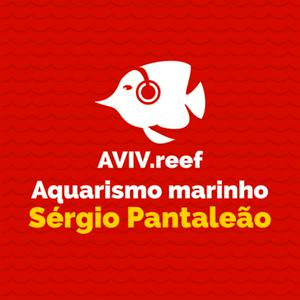 Aquarismo marinho com Sérgio Pantaleão