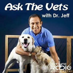 Ask the Vets with Dr. Jeff - Live Call-in Show