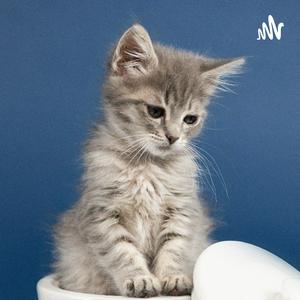 ASMR PARA RELAXAR 💆🏻‍♂️