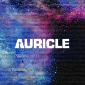 Auricle