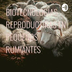 BIOTECNOLOGÍAS REPRODUCTORAS EN PEQUEÑOS RUMIANTES