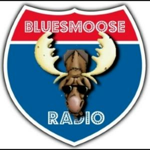 Ouça Blues Moose Radio (Blues music) na aplicação