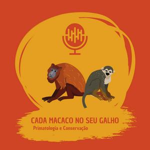 Cada Macaco no seu Galho