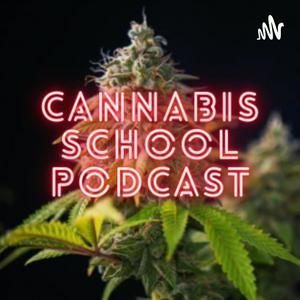 Ouça Cannabis School na aplicação