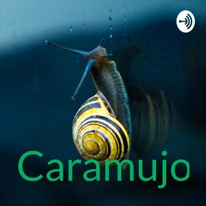 Caramujo