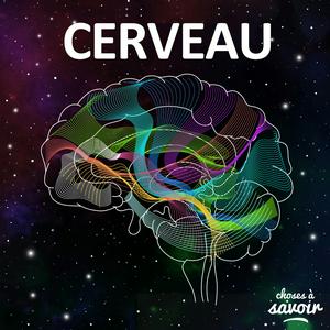 Ouça Choses à Savoir CERVEAU na aplicação