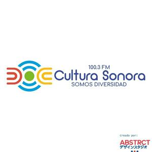 Cultura sonora, somos diversidad.