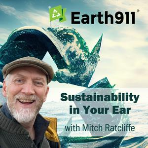 Sustainability In Your Ear