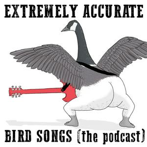 Extremely Accurate Bird Songs (The Podcast)