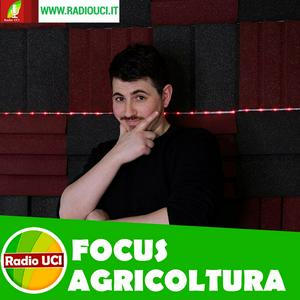 Ouça Focus AGRICOLTURA e AGROALIMENTARE - RadioUCI na aplicação