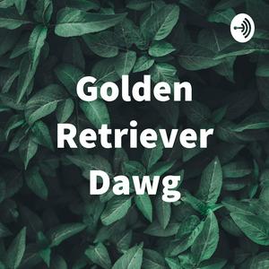 Golden Retriever Dawg