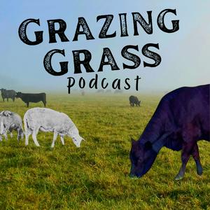 Ouça Grazing Grass Podcast : Sharing Stories of Regenerative Ag na aplicação